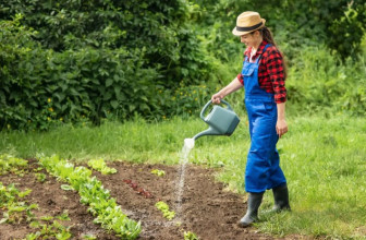 Jens Schwamborn: Gartenarbeit ist gut für die Gesundheit