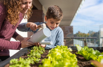 Dörthe Priesmeier: Gemüse auf dem Balkon anpflanzen